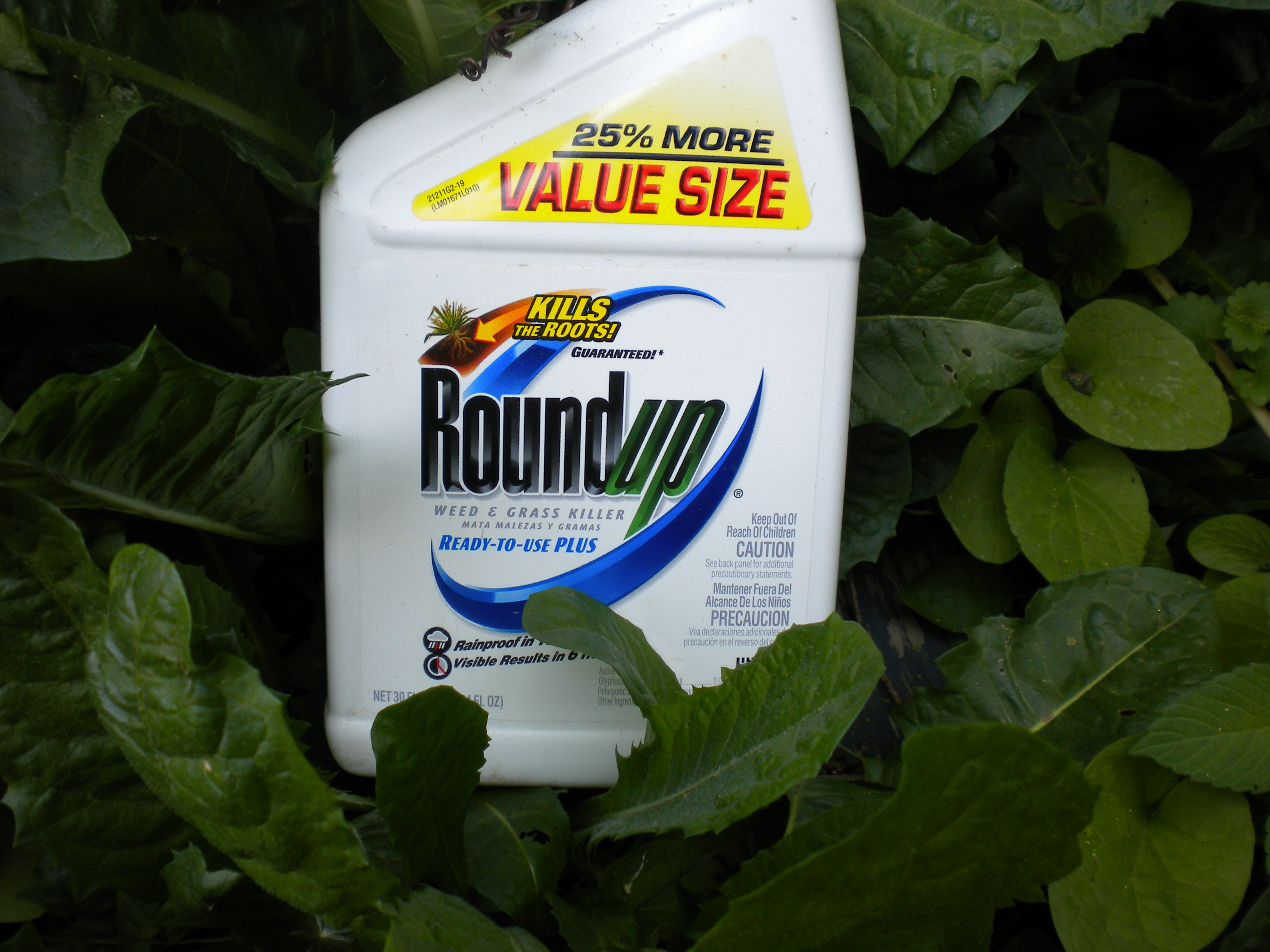 This image has an empty alt attribute; its file name is Roundup.jpg